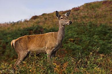 《使命召唤：现代战争3》僵尸模式预告 11月10日发售